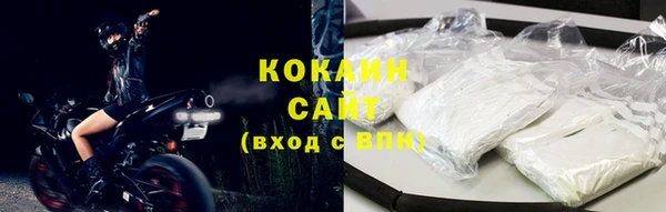 мяу мяу мука Белокуриха