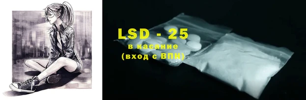 индика Яранск