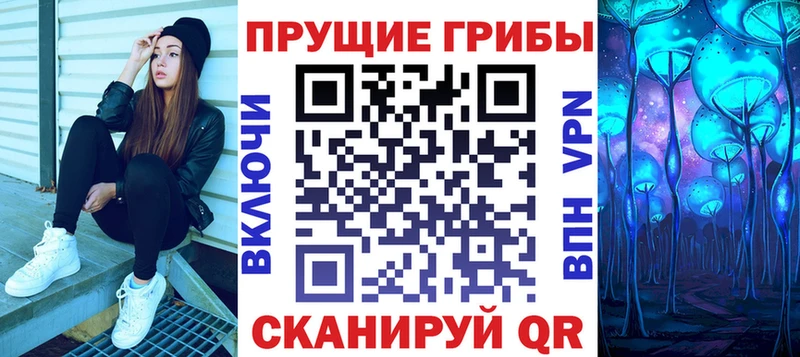 где купить наркоту  Болгар  Псилоцибиновые грибы Psilocybine cubensis 